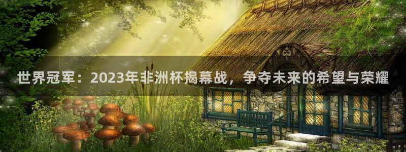 世界杯2026比赛时间表:世界冠军:2023年非洲杯揭幕战,争夺未来的希望与荣耀