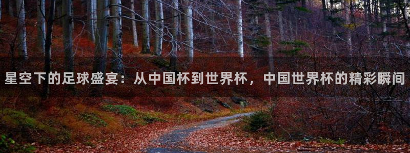 世界杯官网入口:星空下的足球盛宴:从中国杯到世界杯,中国世界杯的精彩瞬间