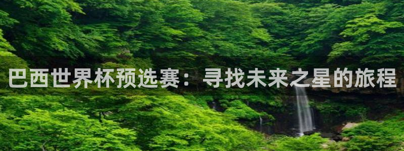 世界杯预选赛亚洲:巴西世界杯预选赛:寻找未来之星的旅程