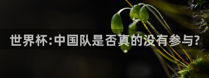 2026 世界杯:世界杯:中国队是否真的没有参与?