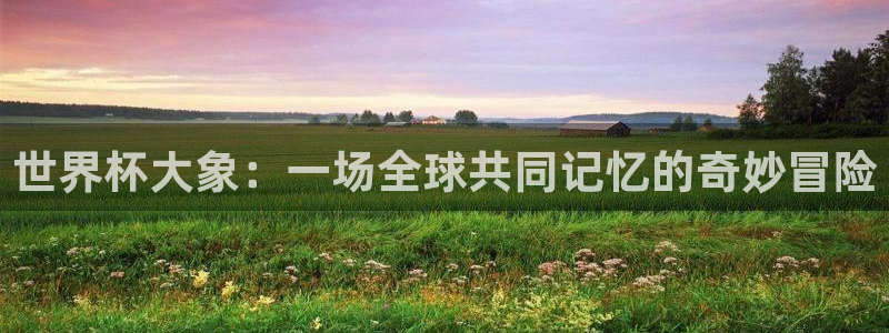 今年世界杯:世界杯大象:一场全球共同记忆的奇妙冒险