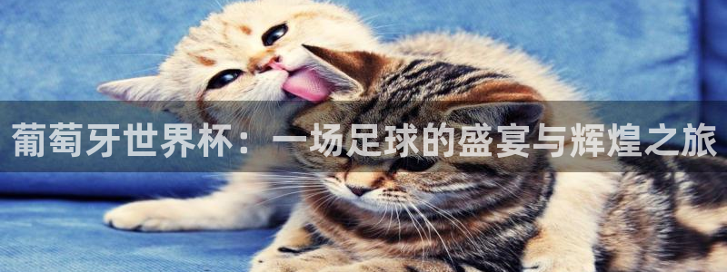 世界杯女足直播:葡萄牙世界杯:一场足球的盛宴与辉煌之旅