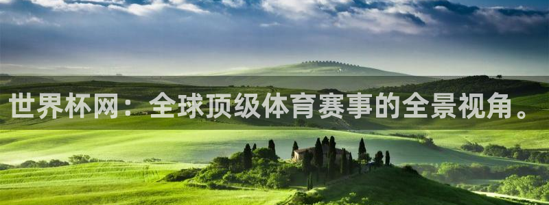 2026年足球世界杯赛程时间表:世界杯网:全球顶级体育赛事的全景视角。