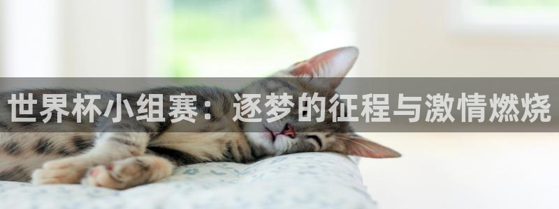 世界杯预选赛亚洲区积分榜:世界杯小组赛:逐梦的征程与激情燃烧