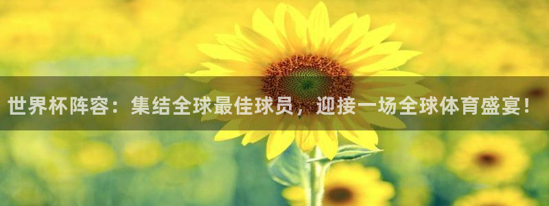 2026世界杯官网:世界杯阵容:集结全球最佳球员,迎接一场全球体育盛宴!